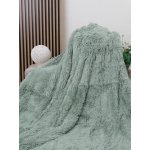 MKLuzkoviny.cz chlupatá deka Agnello mátová 200x220 – Zboží Dáma MKLuzkoviny.cz chlupatá deka Agnello mátová 200x220 – Zboží Dáma