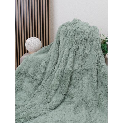 MKLuzkoviny.cz chlupatá deka Agnello mátová 200x220 – Zboží Dáma MKLuzkoviny.cz chlupatá deka Agnello mátová 200x220 – Zboží Dáma