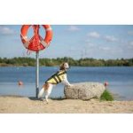 Trixie Plavací vesta pro psa Life Vest S – Hledejceny.cz