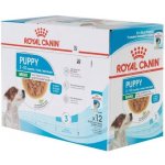 Royal Canin Mini Puppy 12 x 85 g – Zboží Mobilmania