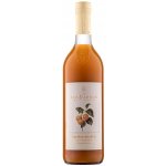 Van Nahmen Nektar z meruněk odrůdy Orange de Provence 750 ml – Zboží Dáma