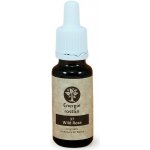 Energie rostlin Bachovy esence 37 Wild rose Esence chuti do života 20 ml – Hledejceny.cz