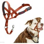 Halti ohlávka nylon dalmatin retrívr vel. 3 – Zboží Dáma
