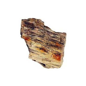 Macenauer Dřevo zkamenělé 400 mil. let 1,0-1,6 kg