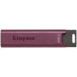 Kingston DataTraveler Max 256GB DTMAXA/256GB – Sleviste.cz