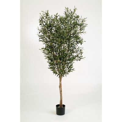 Luxusní umělý strom NATURAL OLIVOVNÍK STROM S PLODY, 120 cm – Zboží Mobilmania