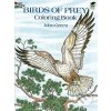 Omalovánka Birds of Prey Coloring Book