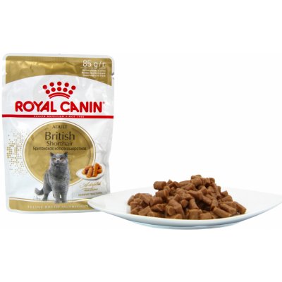 Royal Canin British Shorthair pro kočky 12 x 85 g – Zboží Mobilmania