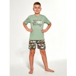 Cornette Kids Boy 789/98 Camper zelené – Zboží Dáma