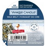 Yankee Candle vonný vosk North Pole Hideaway 22 g – Zboží Dáma
