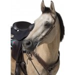 Westernová uzdečka WESTRIDE 1 Oreille chocolate FULL – Zboží Dáma