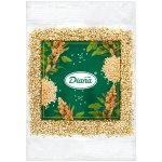 Diana Company Quinoa bílá 300 g – Sleviste.cz