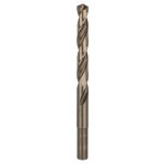 Bosch 2.608.585.900 – Hledejceny.cz