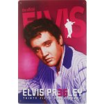 Plechová retro cedule / plakát - Elvis II Provedení:: Plechová cedule A4 cca 30 x 20 cm