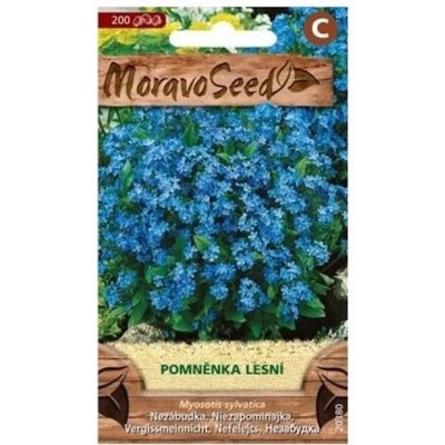 Semínka MoravoSeed Pomněnka lesní modrá 20380 – Hledejceny.cz