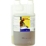 Canvit Forticoat NL 1000 ml – Hledejceny.cz