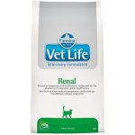 Vet Life Cat Renal 0,4 kg – Hledejceny.cz