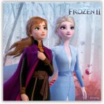 Procos ubrousky Frozen II 25x25cm 16ks – Hledejceny.cz
