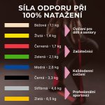 Thera-Band Inside posilovací guma 2 m zlatá max. silná – Zboží Dáma