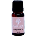 Gaia Spa vonný olej SKOŘICE Cinnamon 10 ml – Hledejceny.cz