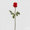 Květina Šípová růže červená, 58 cm