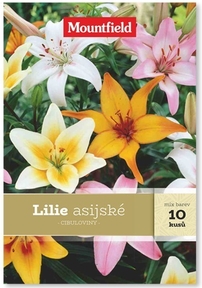 Lilie asijské 10ks