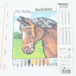 Předloha vyšívací 15x15cm Kůň – Hledejceny.cz