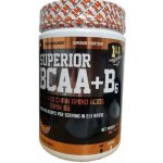 Superior 14 BCAA + B6 400 tablet – Zboží Dáma