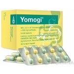 Yomogi 250 mg 50 kapslí – Hledejceny.cz