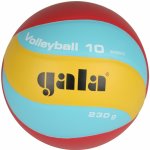 Gala Volleyball 10 BV 5651 S – Hledejceny.cz