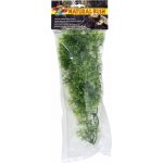 Zoo Med Australian Maple 36 cm – Hledejceny.cz