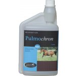 Horse Master Pulmochron 1 l – Hledejceny.cz