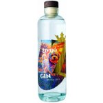 Živijó Tim's Hood Gin 43% 0,5 l (holá láhev) – Hledejceny.cz