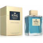 Antonio Banderas King of Seduction Absolute toaletní voda pánská 200 ml – Hledejceny.cz