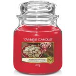 Yankee Candle Peppermint Pinwheels 411 g – Zbozi.Blesk.cz