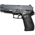 WE GBB SIG P226 plynová Černá – Hledejceny.cz