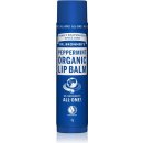 Balzám na rty Dr, Bronner´s Balzám na rty Peppermint 4 g