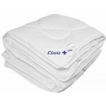 2G Lipov Vyvařovací přikrývka Clivie+ 4 roční období spínací 135x220 – Sleviste.cz