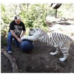 Boomer Ball 25 cm – Sleviste.cz