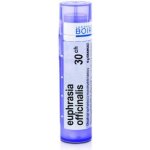 EUPHRASIA OFFICINALIS POR 30CH GRA 1X4G – Hledejceny.cz