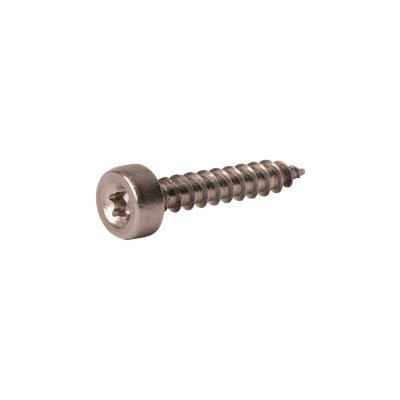 RAPI-TEC Vruty pro kluzáky TORX nerez Varianta: Vruty pro kluzáky 4,2x24mm,T20, nerez A4 – Hledejceny.cz