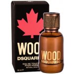 Dsquared2 Wood toaletní voda pánská 50 ml – Hledejceny.cz