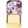 Mýdlo Esprit Provence Tuhé mýdlo v plechovce Mandlový květ, 25 g