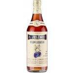 R. Jelínek Plum Liquer 18% 0,7 l (holá láhev) – Zboží Dáma
