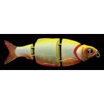 Izumi Shad Alive 145 Fast SK 14,5cm 60g #04 Orange Belly Chart – Hledejceny.cz