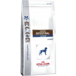 Royal Canin Veterinary Diet Dog Gastrointestinal Junior 2 x 10 kg – Zboží Mobilmania
