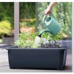 Prosperplast KONI 5 l plast šalvěj ST254622 – Zboží Dáma