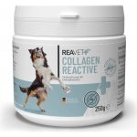 Reavet Kolagen Reactive pro zdravou funkci kloubů a kostí 250 g – Hledejceny.cz