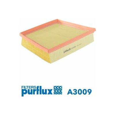 Vzduchový filtr PURFLUX A3009 – Hledejceny.cz