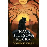 Pravá bluesová kočka – Sleviste.cz